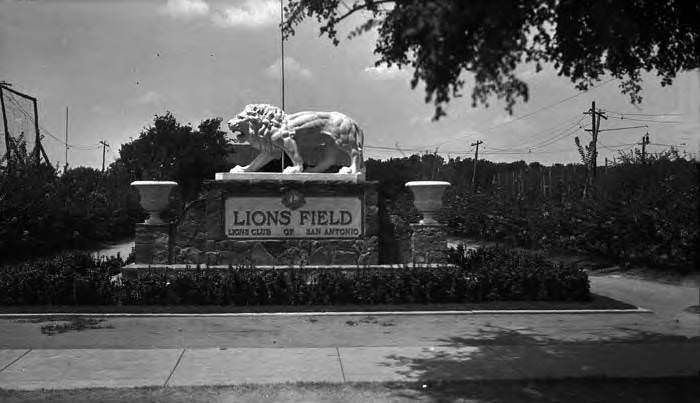 #41 Marble lion at entrance to Lions Field, 2809 Broadway, San Antonio, 1927