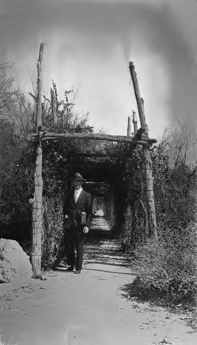 #100 “Lover’s Lane,” Brackenridge Park, San Antonio, 1927