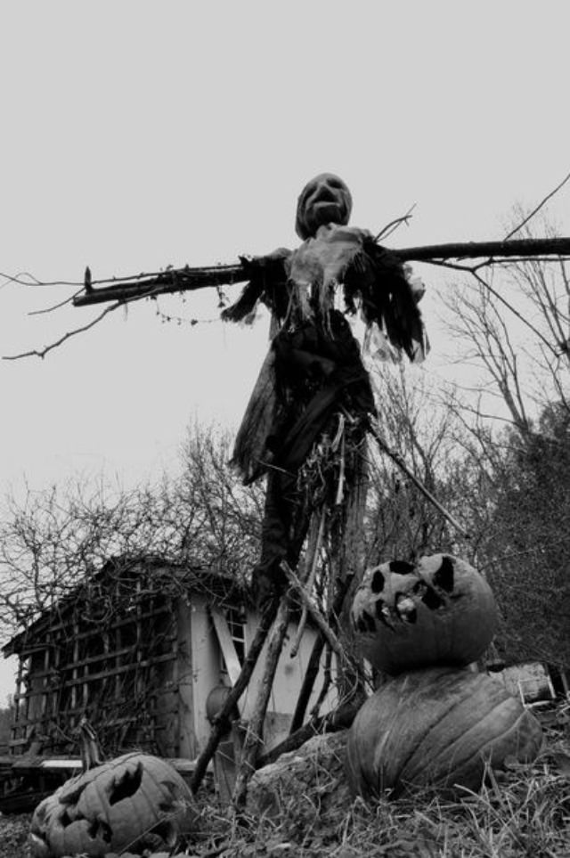 What Scarecrows looked like in the Past Through these Historical Photos Weird