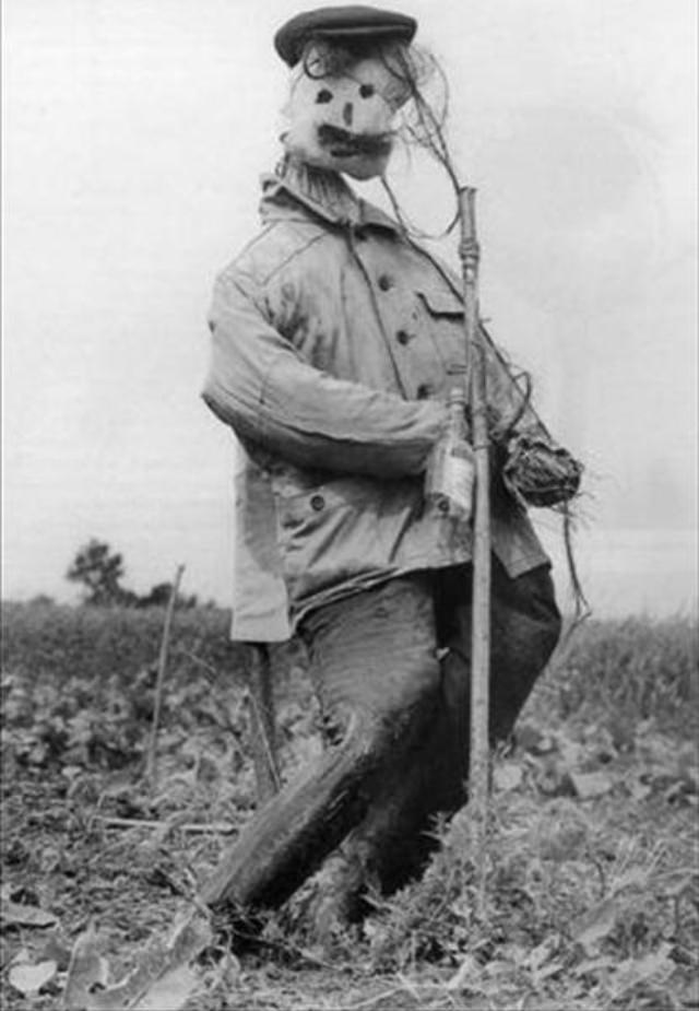 What Scarecrows looked like in the Past Through these Historical Photos Weird