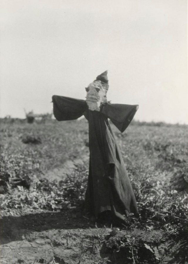 What Scarecrows looked like in the Past Through these Historical Photos Weird