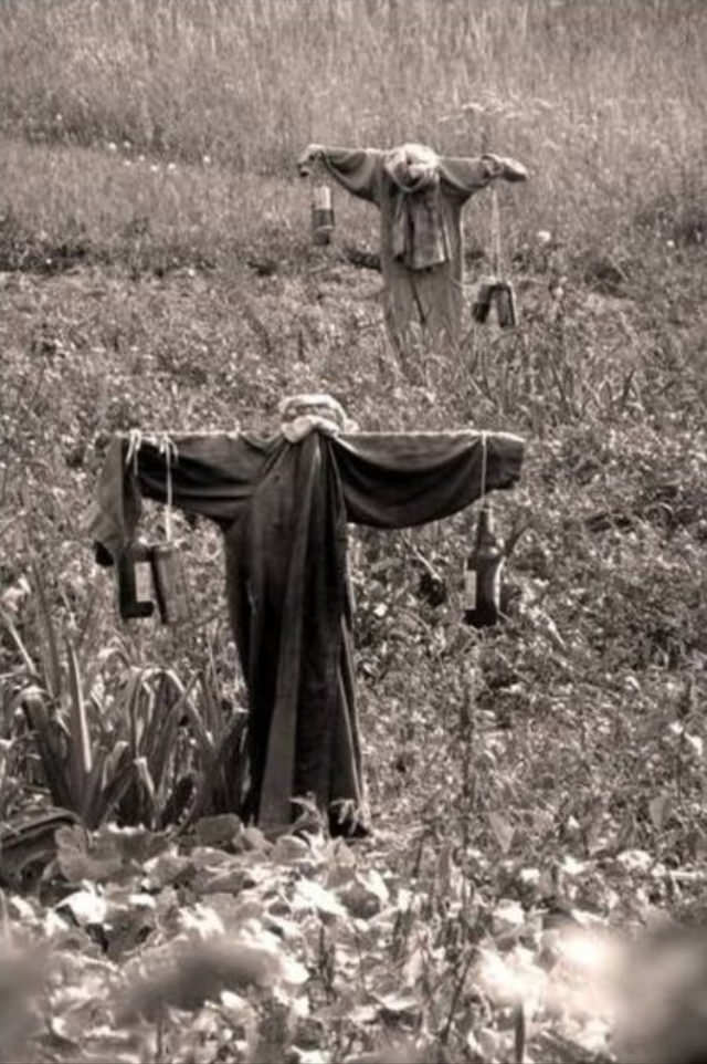 #17 What Scarecrows looked like in the Past Through these Historical Photos #17 Weird