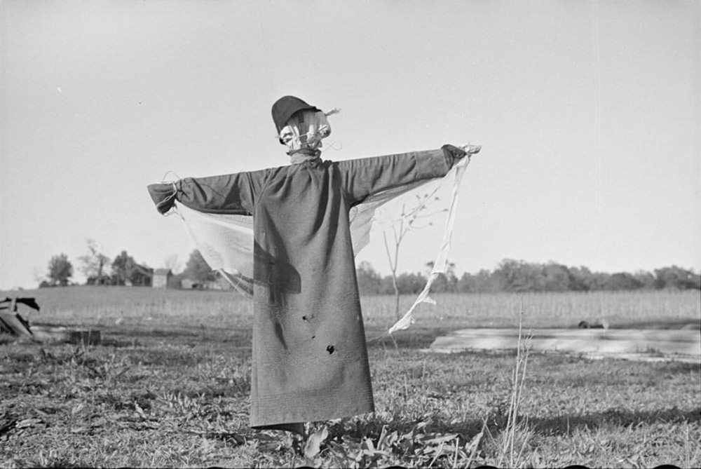 What Scarecrows looked like in the Past Through these Historical Photos Weird
