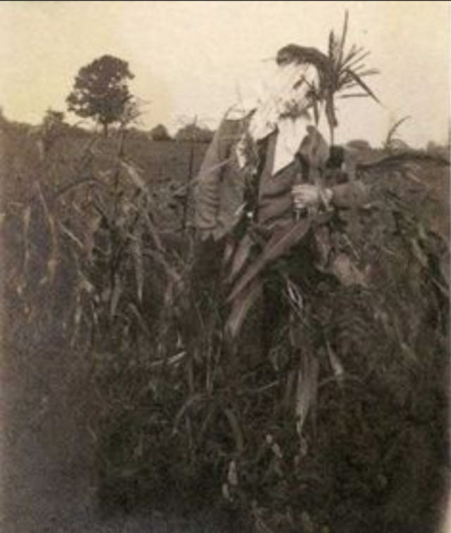 What Scarecrows looked like in the Past Through these Historical Photos Weird