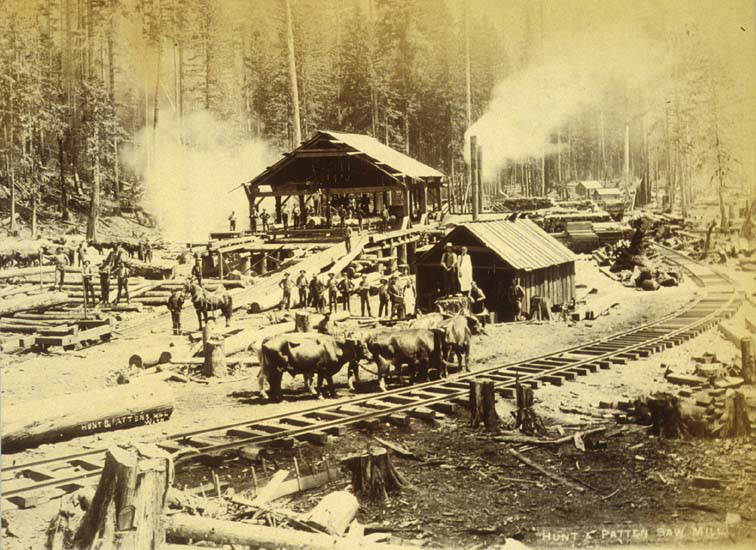 #133 Logging operation showing a sawmill, 1899