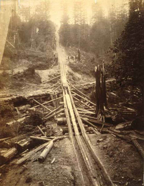 #33 Logging operation showing a log chute, 1889