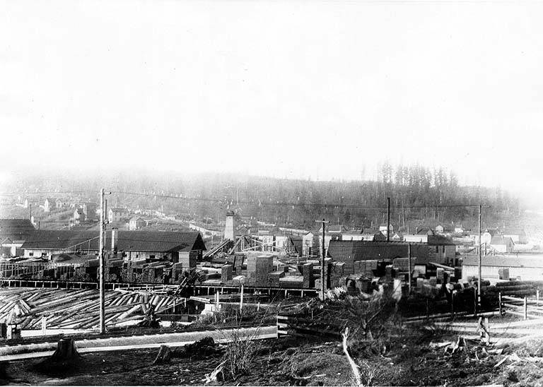 #135 Fremont lumber mill operation, possibly the Bryant Lumber Mill, 1895
