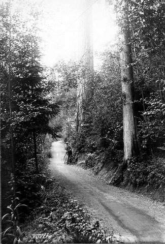 #141 Man with bicycle on the Lake Washington bicycle path, 1899