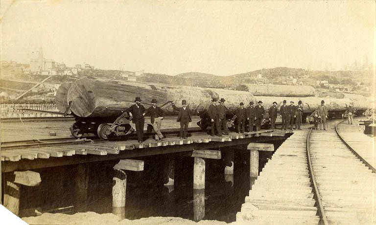 #9 Men standing to large logs on railway cars, Seattle, 1889