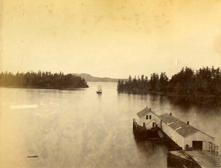 #47 Roche Harbor in the San Juan Islands, Washington, 1889