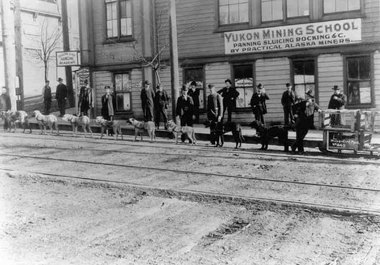 #169 Sled dogs in front of Yukon Mining School, 1898