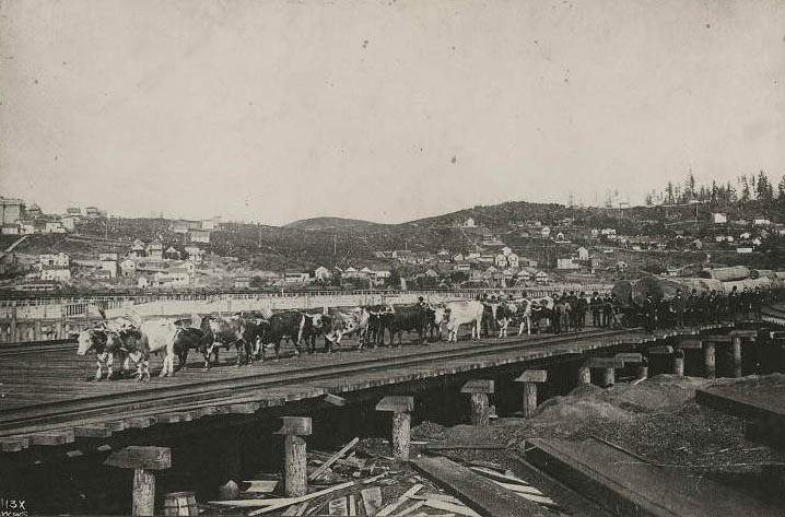 #70 First logs on Columbia and Puget Sound Railroad, 1879
