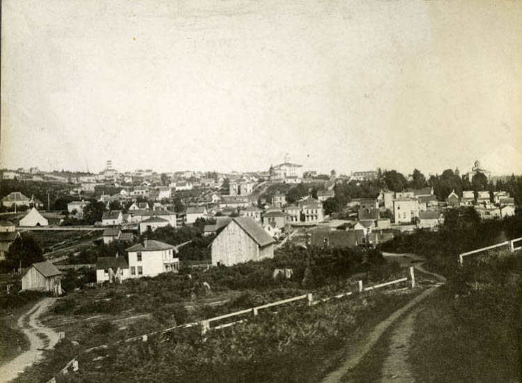 #122 View south from 5th Ave. and Pine Street, 1887