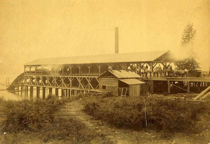 #153 Ballard sawmill, 1889