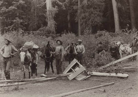 #207 Expedition returning to Antlers Hotel after trip to Olympic Mountains, 1898
