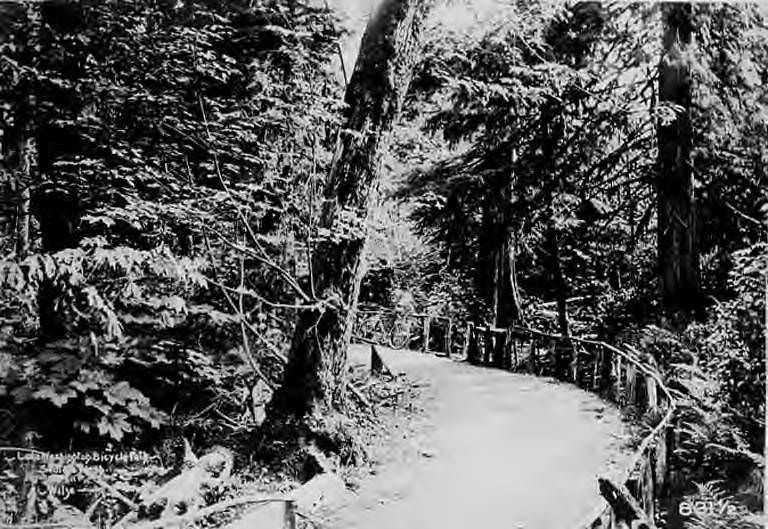 #26 Bend in the path with bicycle in distance, Seattle, 1897