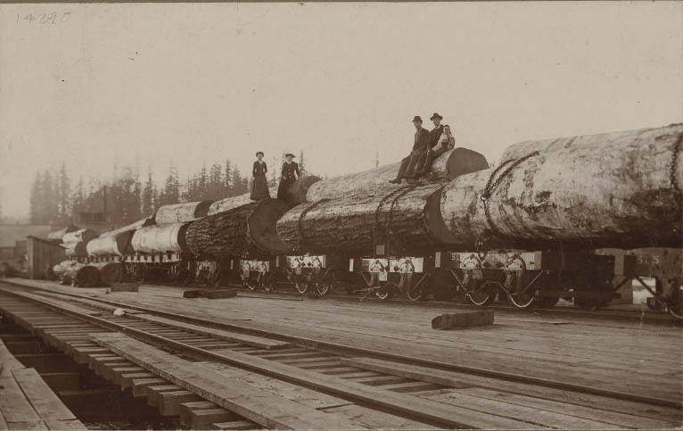 #241 rain of Logs at Yesler (Town), 1893
