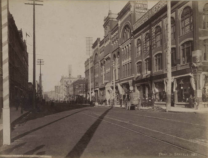 #243 View north from 1st Ave. and Cherry St., Seattle, 1890