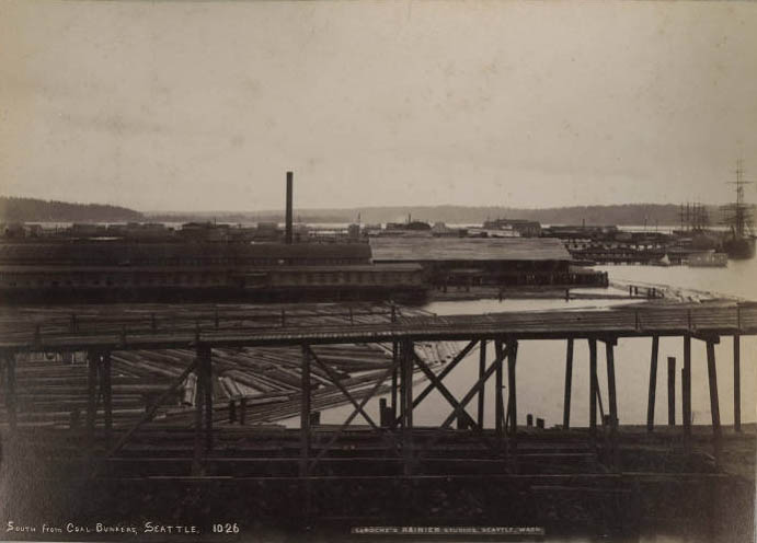 #245 View south from Seattle coal bunkers, 1890