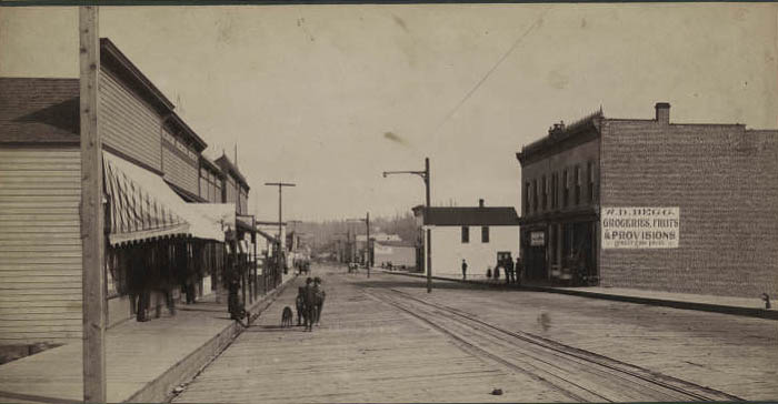 #248 View south on Ballard Avenue, 1891