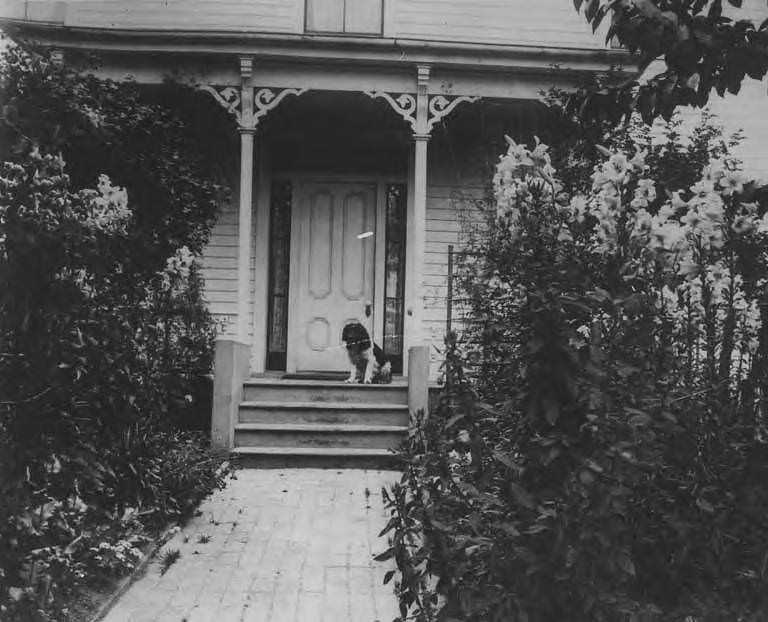 #49 David T. Denny Residence at Republican St. with dog, possibly “Curly,” on the front porch, 1890
