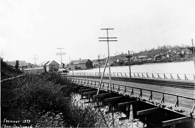 #123 Fremont and Lake Union seen from Queen Anne, 1893