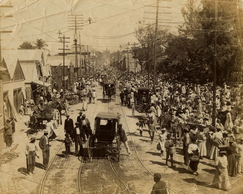 #15 Earthquake refugees, Kingston, Jamaica 1907