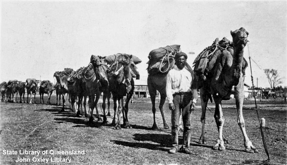 #2 Camel driver and a caravan of camels returning home