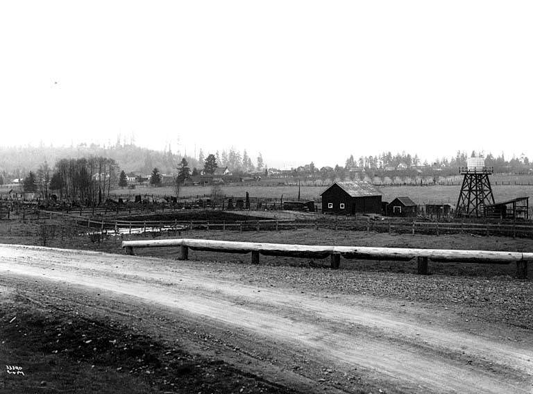 #42 Farmland and road near Bellevue, 1915