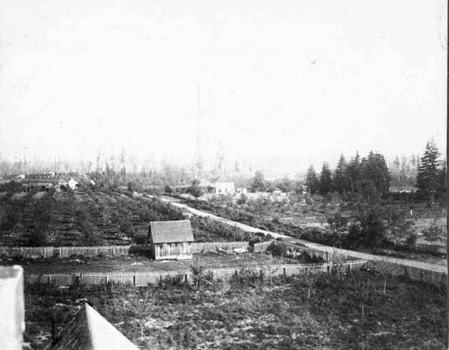 #48 Houses and farms, Bellevue, 1900