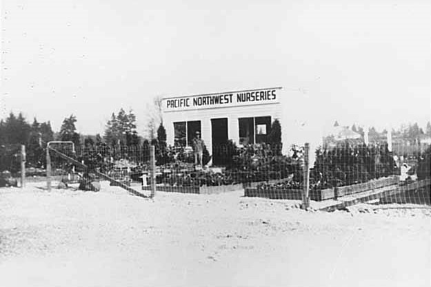 #33 Pacific Northwest Nurseries, Bellevue, 1945