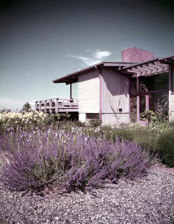#45 Walter F. Isaacs house, exterior view of garden, Hilltop, Bellevue, Washington, 1953