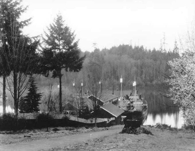 #71 Whaleboats at Bellevue, 1920