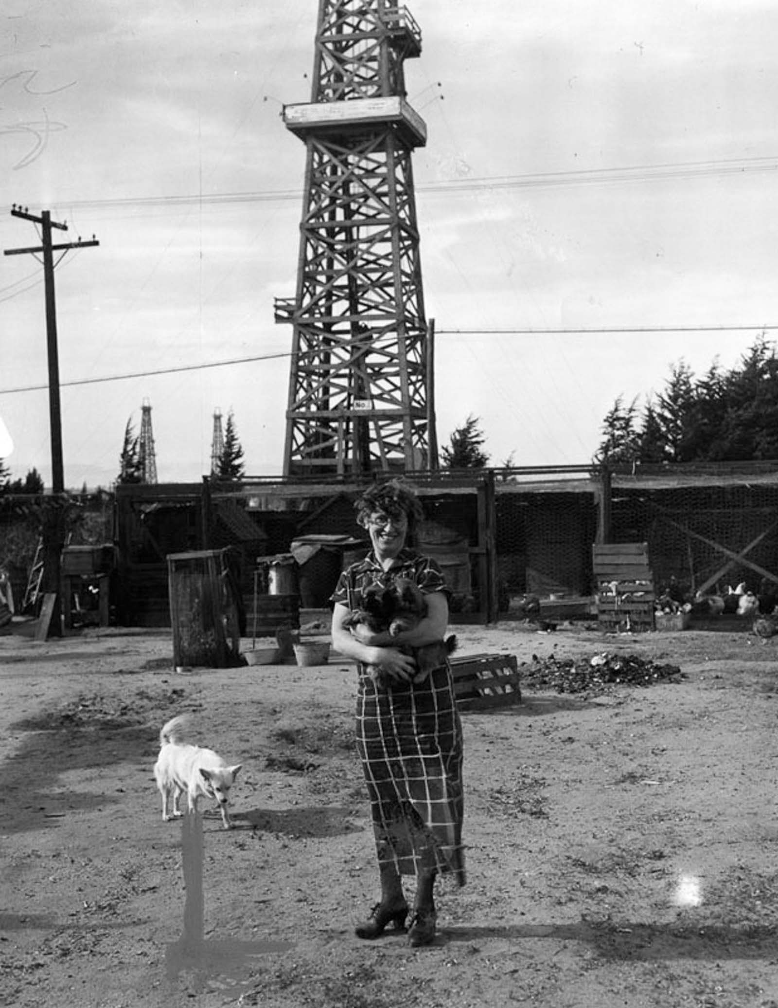 #25 Mrs. W. B. Stoddard stands with her dogs in the yard of her home near the George K. Linderman well in Redondo Beach, 1936