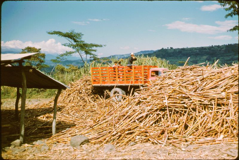 #21 Sugar cane unloading at Barbosa. Barbosa is rail center for entire area to take cane to factories of Bogota, Colombia