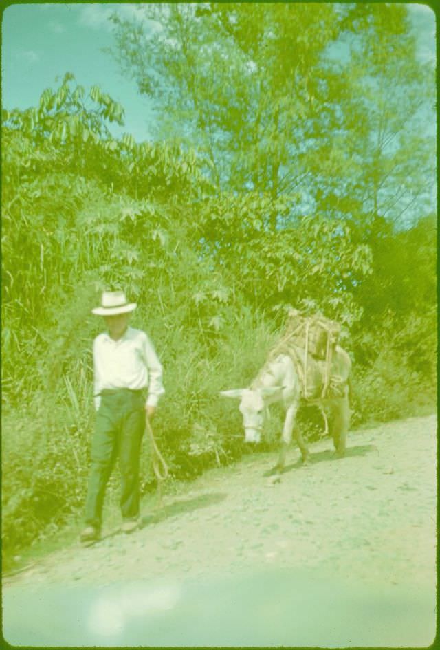 #22 Tobacco coming from market near Barbosa, Colombia