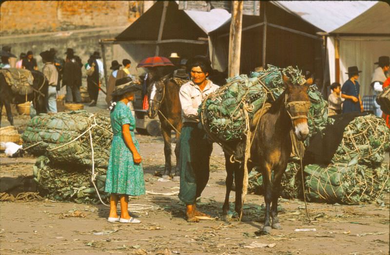 #3 Cabbage, rice, beans, corn meal. Some people wearing patched patches for clothing, Colombia