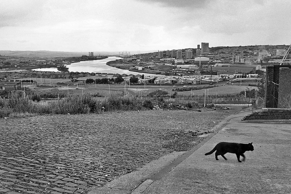 #17 View of the Tyne from the site of Gordon Street in 1984. The black cat was a bonus!