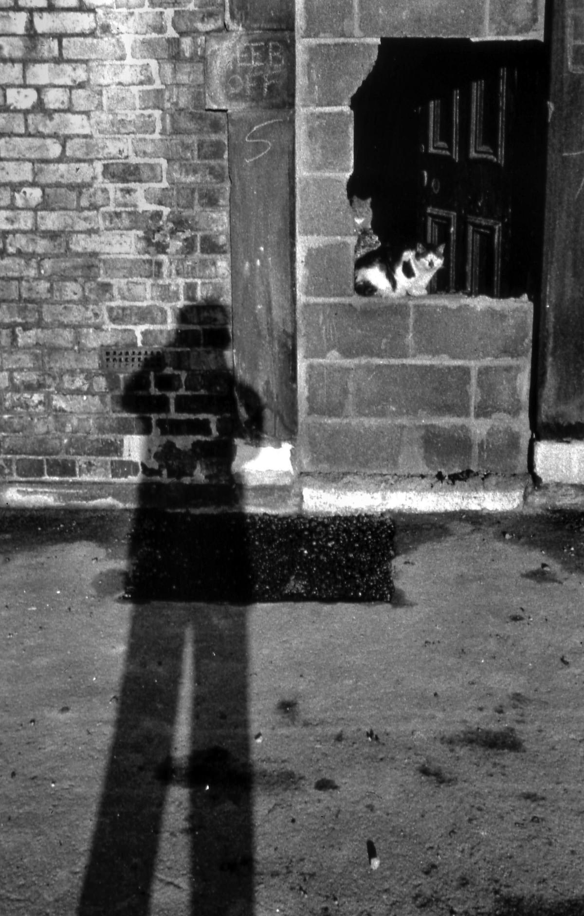 #50 Self-portrait, Sidney Grove 1987