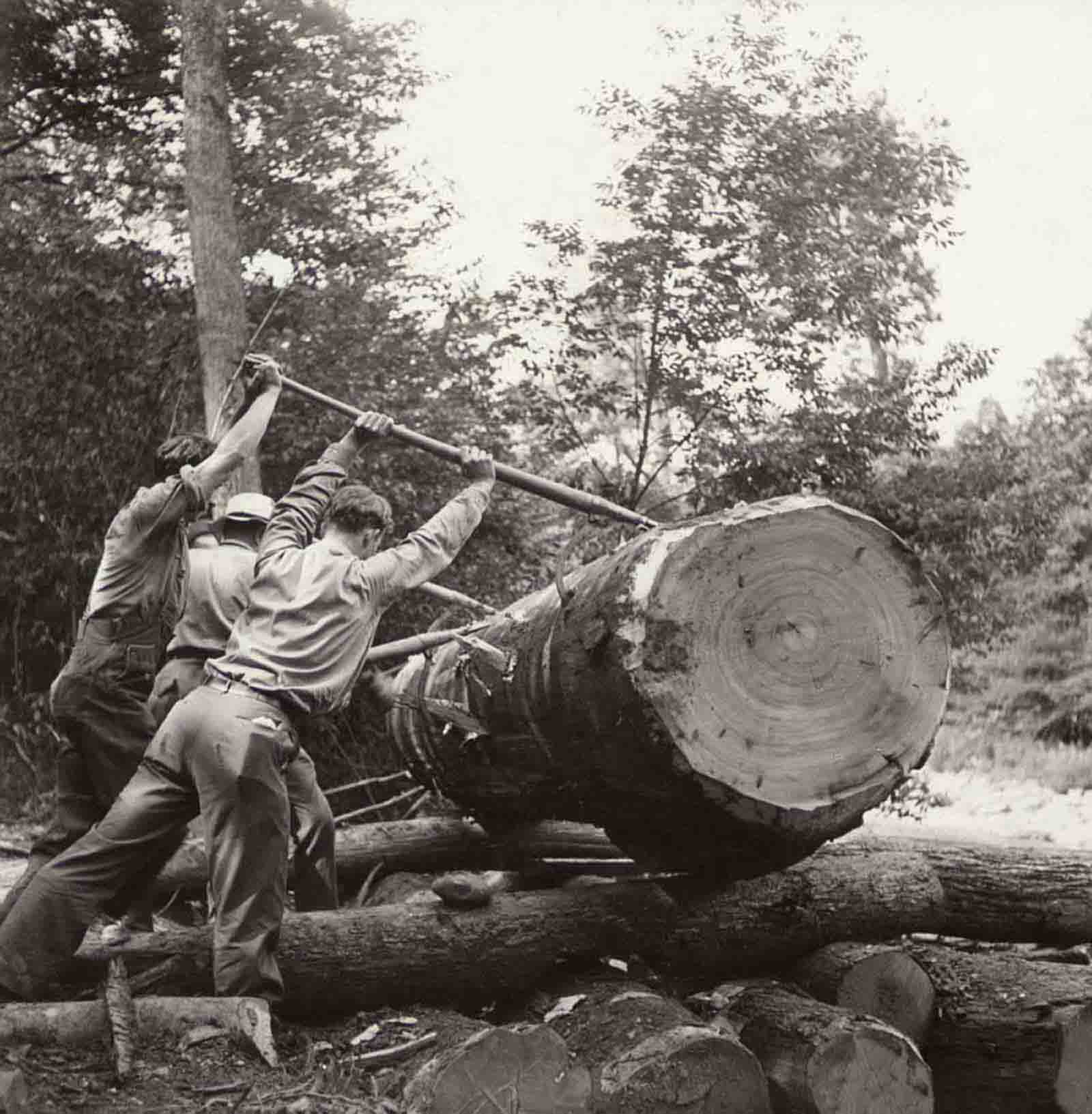 #25 A group in the 1930s moves a log into a river in West Virginia