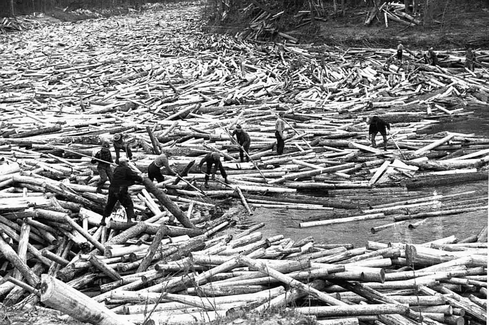 #30 Several log rollers in the 1930s break up a log jam on the Little Fork River during the last log drive on that river in Koochiching County, Minnesota