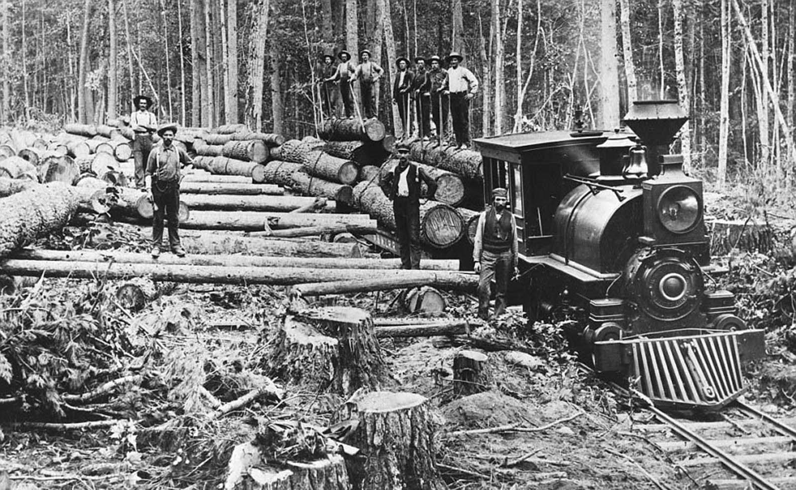#35 Lumberjacks in Michigan load a series of white pine logs onto a train to be carried to a sawmill.