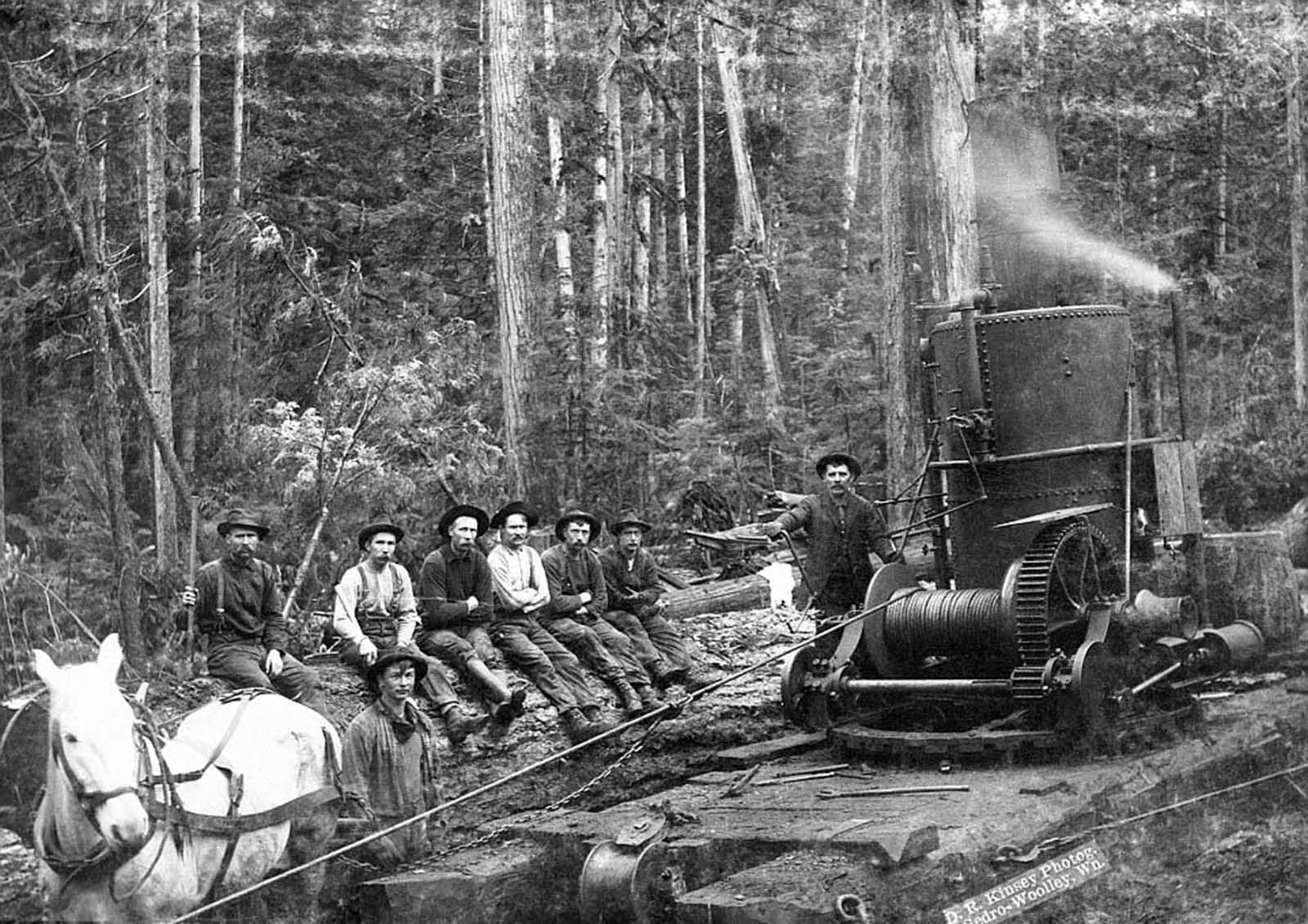 #36 A crew in 1900 Washington state poses next to a donkey engine used for yarding logs, or gathering logs together after they are cut.