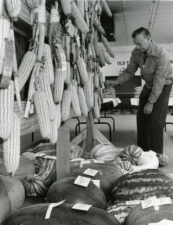 #67 4-H Club garden produce entries at the Tennessee State Fair, Nashville, Tennessee, 1975