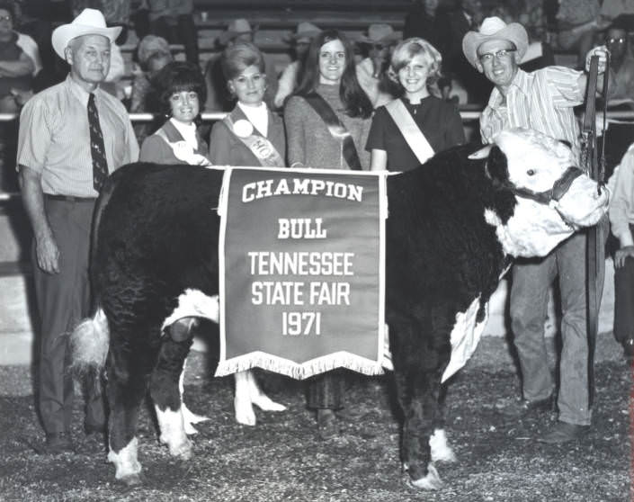 #75 Champion Bull at the Tennessee State Fair, Nashville, Tennessee, 1971