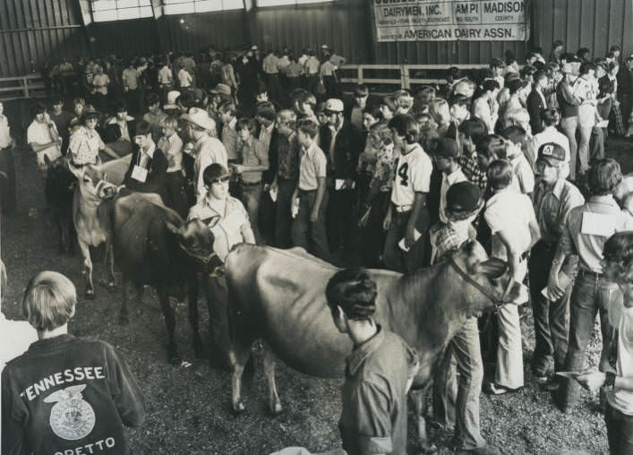 #86 Dairy cattle exhibitors at the Tennessee State Fair, Nashville, Tennessee, 1974