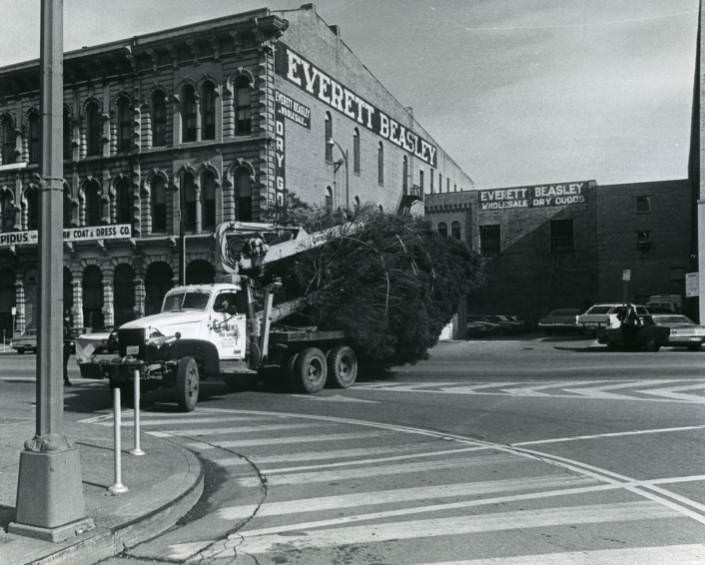 #95 Installation of Christmas tree at the Davidson County Courthouse, Nashville, Tennessee, 1973
