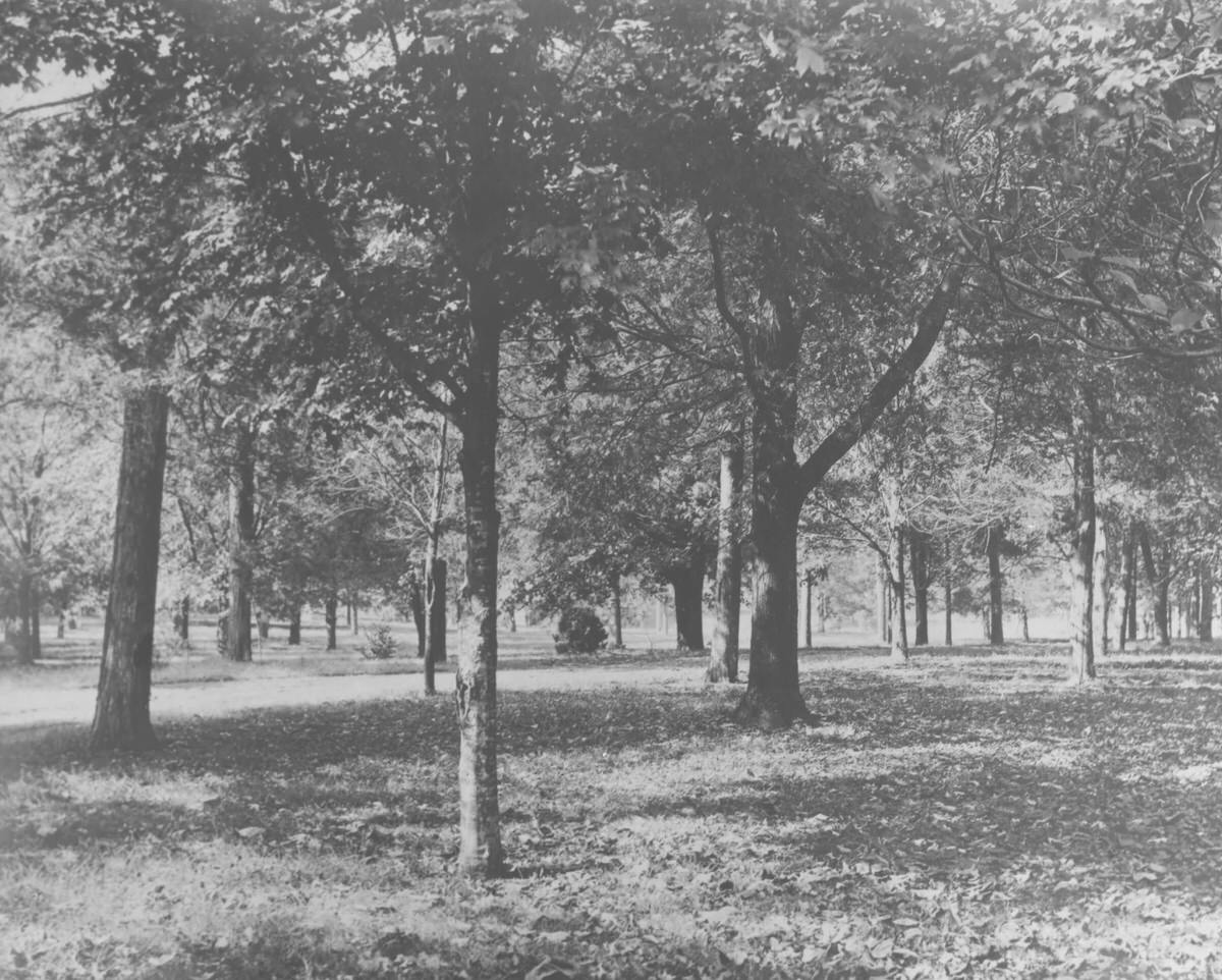 #29 Belle Meade Mansion front lawn, 1940s