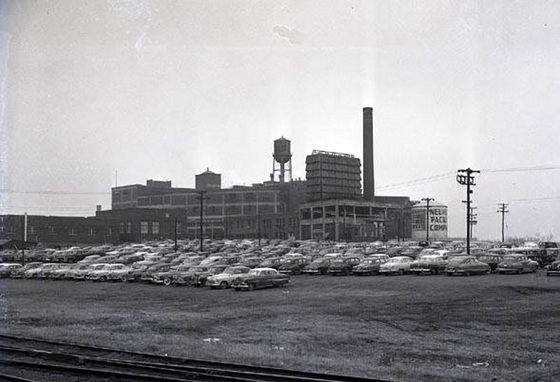 #82 Nashville Business – Neuhoff Packing Company, 1951