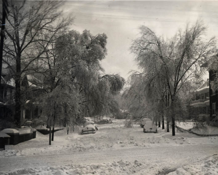 #106 Photograph of Nashville ice storm, 1951